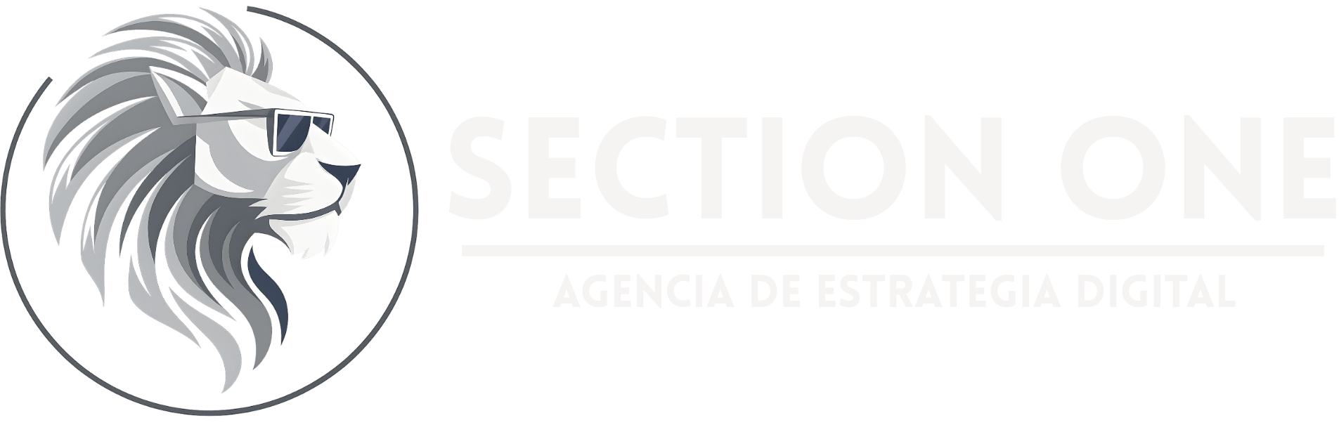 SECTION-ONE-Agencia-EN-MEDIOS-Digital-Estrategica